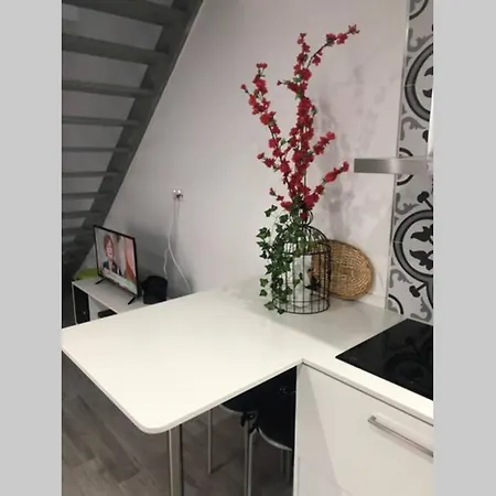 Canelle Com Terraco Nazaré