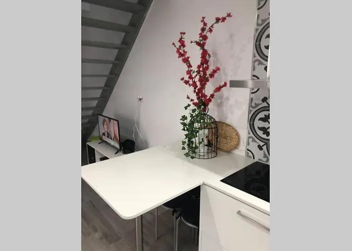 Canelle Com Terraço Nazaré